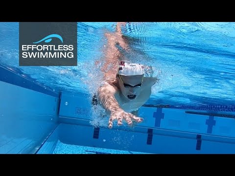 Arena Airspeed Goggles - Blue / White-563843