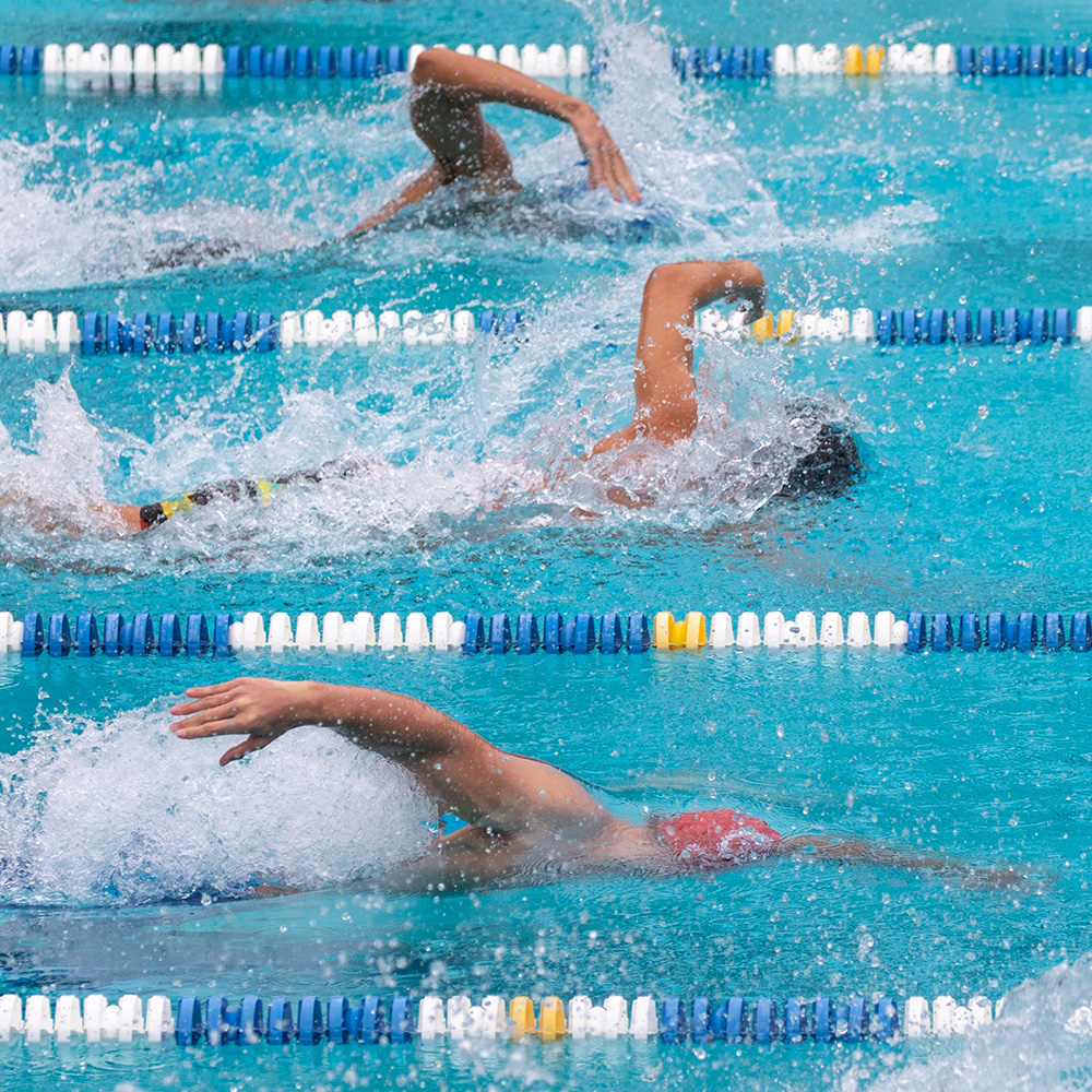 Competitive Swimmers in a pool