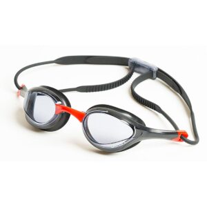 Akron Sonic Goggles - Black / Clear