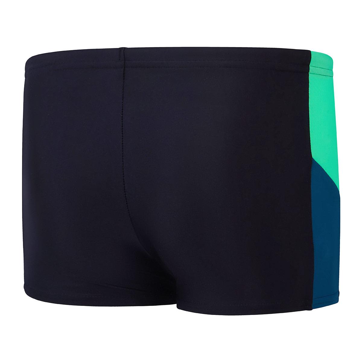 Speedo Boys Dive Aquashort - Black / Green-brand