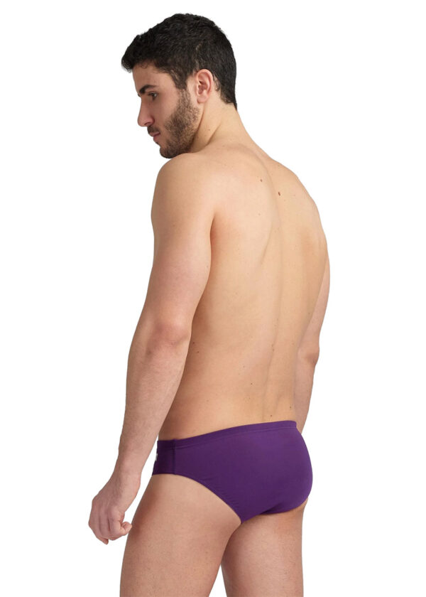 Arena Mens Team Solid Swim Brief – Plum / White
