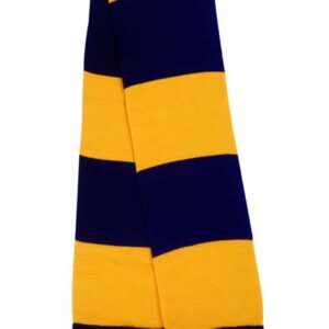 Result Team Scarf - Navy / Gold