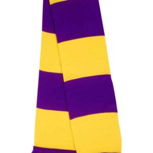 Result Team Scarf - Purple / Yellow