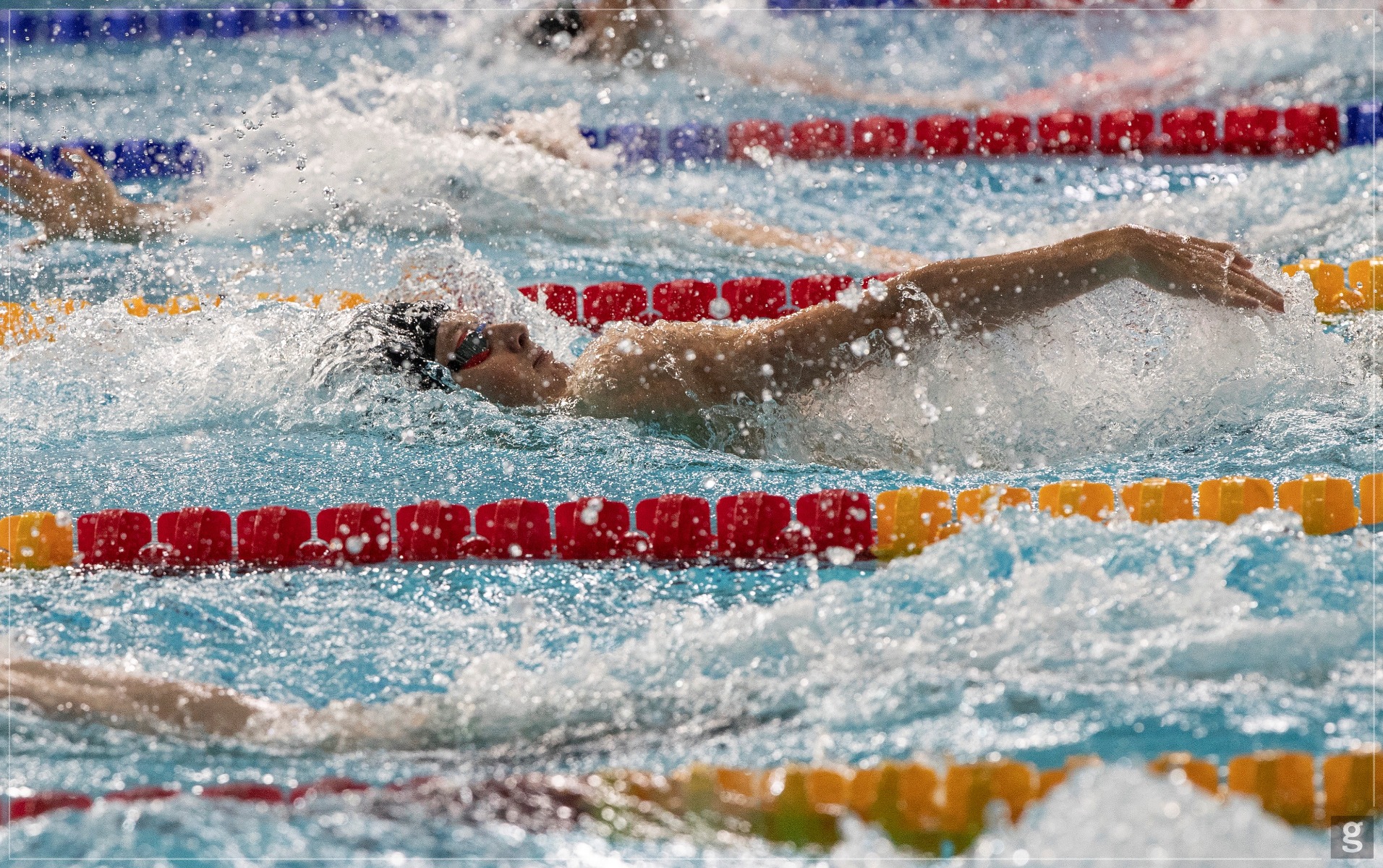 Brodie Williams Brodie Williams