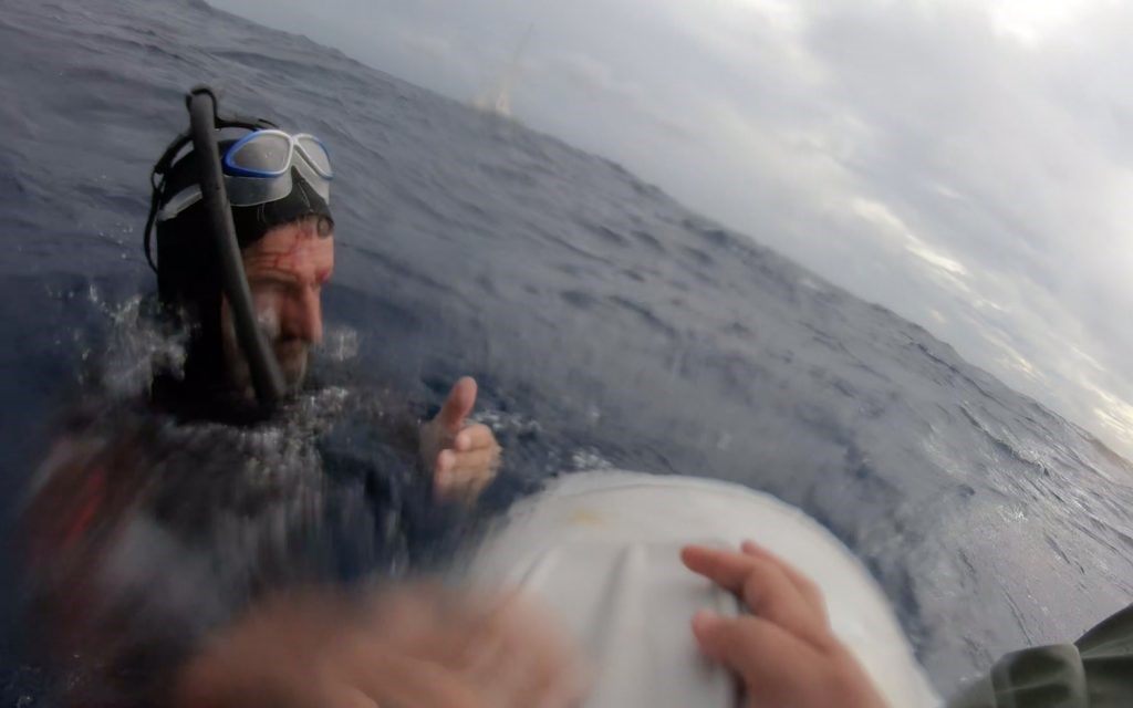 benoit lecomte the longest swim