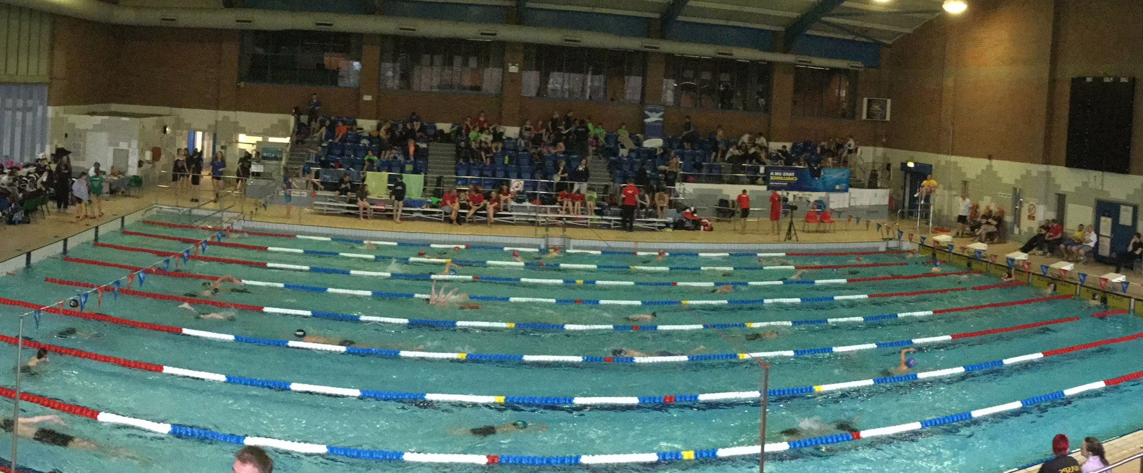 Swimming County Champs 2016