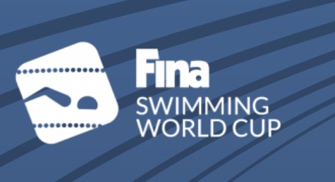 fina world cup logo