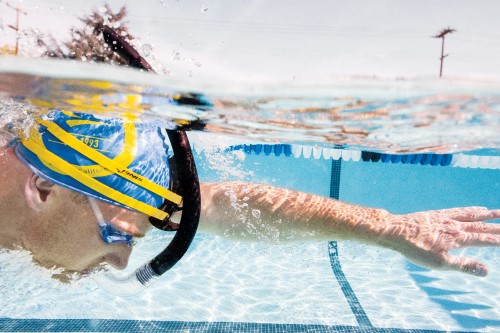 finis stability snorkel