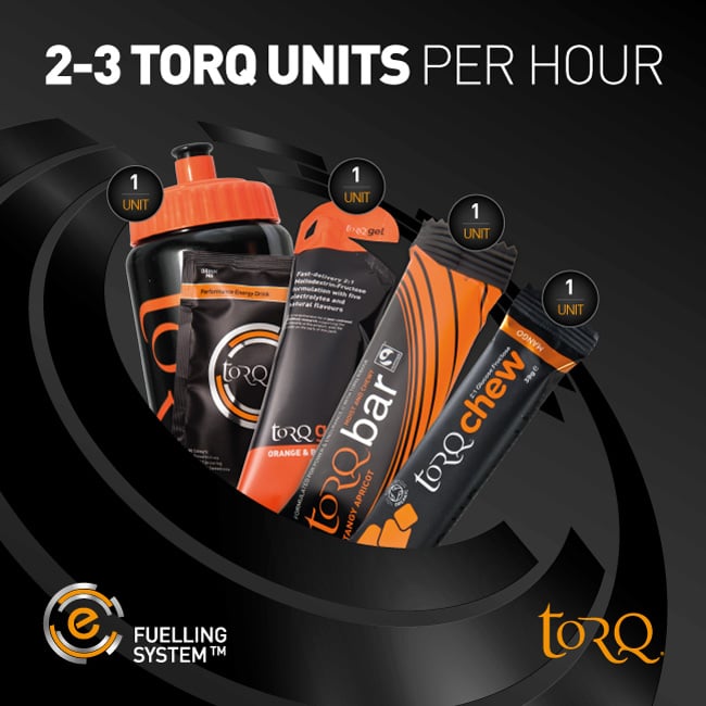 torq fuelling system