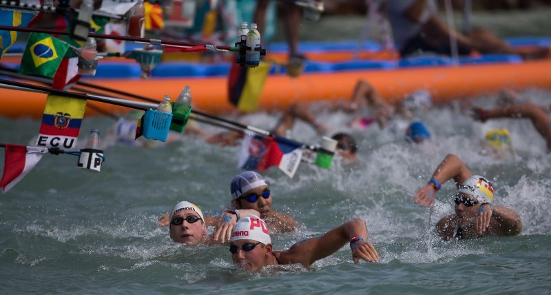 fina marathon swim series