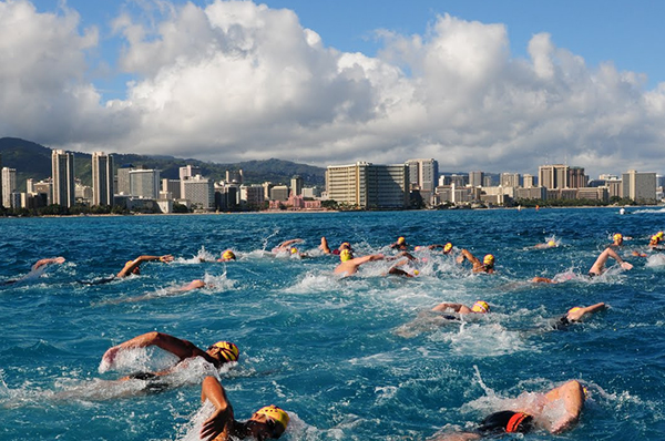 Open Water Swimmers Open Water Swimmers